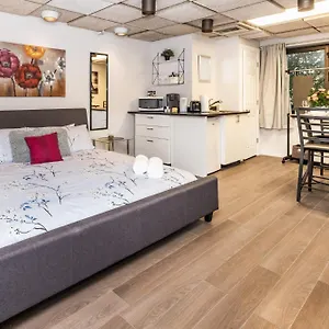 Studio With King Bed - Near Chinatown Ottawa