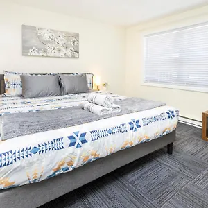 Pet-friendly Studio Unit In Chinatown Ottawa